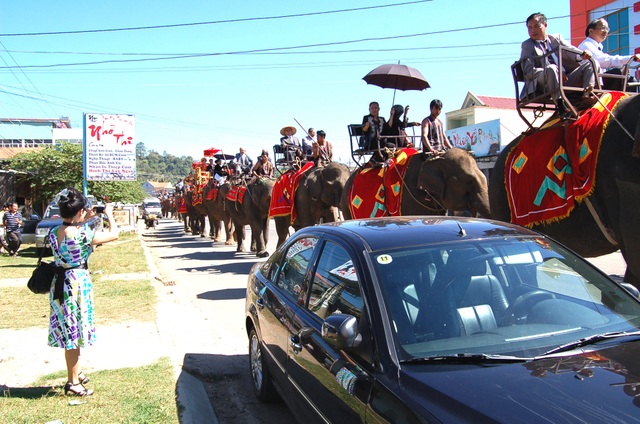 Unique ceremony to capture the bridegroom for his daughter by 14 giant elephants in the Central Highlands - 3