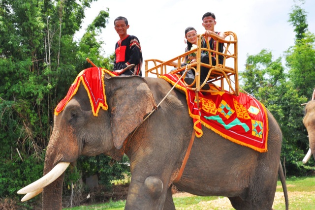 A unique ceremony to capture the groom's daughter with 14 giant elephants in the Central Highlands - 2