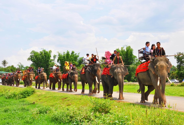 Unique ceremony to capture the bridegroom for his daughter by 14 giant elephants in the Central Highlands - 1