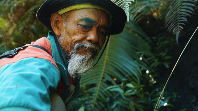 Người đàn ông một mình trồng cả cánh rừng 25ha trong 30 năm - 2 Người đàn ông một mình trồng cả cánh rừng 25ha trong 30 năm - 2