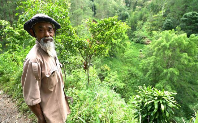 Người đàn ông một mình trồng cả cánh rừng 25ha trong 30 năm - 4 Người đàn ông một mình trồng cả cánh rừng 25ha trong 30 năm - 4
