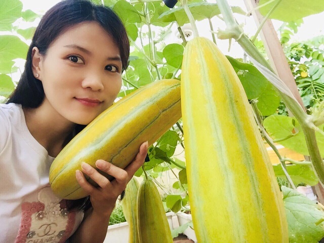 Cảnh trồng rau, nuôi gà, thả cá trên sân thượng của những nông dân phố - 4 Cảnh trồng rau, nuôi gà, thả cá trên sân thượng của những nông dân phố - 4