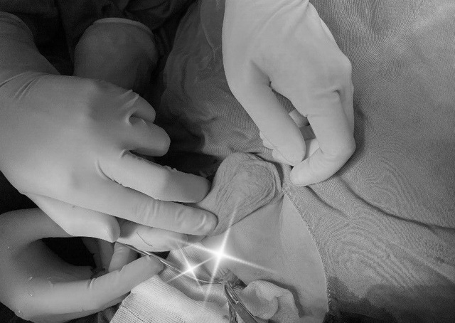 Kỳ lạ, cậu bé có tinh hoàn lớn ban ngày nhỏ về đêm - 1 Kỳ lạ, cậu bé có tinh hoàn lớn ban ngày nhỏ về đêm - 1