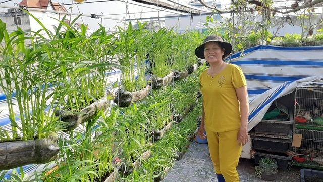 Cảnh trồng rau, nuôi gà, thả cá trên sân thượng của những nông dân phố - 8 Cảnh trồng rau, nuôi gà, thả cá trên sân thượng của những nông dân phố - 8