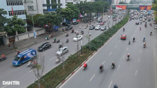 Phong lá đỏ: Từ kỳ vọng đẹp như trời Âu đến cành củi khô giữa Hà Nội - 11 Phong lá đỏ: Từ kỳ vọng đẹp như trời Âu đến cành củi khô giữa Hà Nội - 11