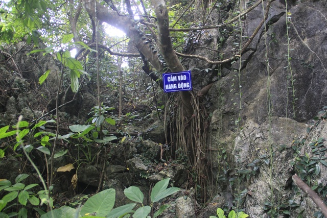 Khám phá hang động tuyệt đẹp ẩn sâu hàng chục năm giữa rừng Quảng Trị - 13