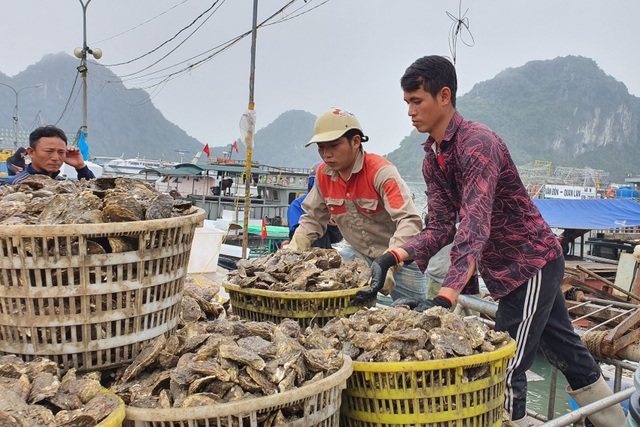 Quảng Ninh: Hỗ trợ hơn 80.000 đối tượng gặp khó do Covid-19 - 1 Quảng Ninh: Hỗ trợ hơn 80.000 đối tượng gặp khó do Covid-19 - 1