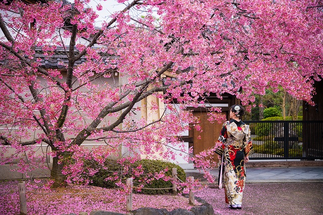 Kimono - Nét đẹp truyền thống của đất nước Nhật Bản | Báo Dân trí