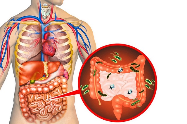 Ăn 3 loại rau này, độc tố cứng đầu bậc nhất cũng bị đánh bật khỏi cơ thể - 1 Ăn 3 loại rau này, độc tố cứng đầu bậc nhất cũng bị đánh bật khỏi cơ thể - 1