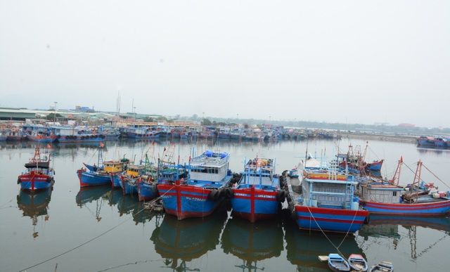 Giải pháp nào cho nghề cá khi thiếu lao động đi biển? - 3 Giải pháp nào cho nghề cá khi thiếu lao động đi biển? - 3