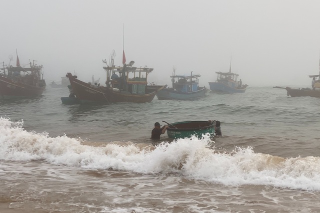 Trúng đậm cá nục mộng, ngư dân Quảng Bình thu tiền triệu mỗi đêm - 3 Trúng đậm cá nục mộng, ngư dân Quảng Bình thu tiền triệu mỗi đêm - 3