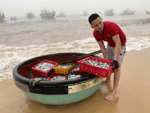 Trúng đậm cá nục mộng, ngư dân Quảng Bình thu tiền triệu mỗi đêm - 2 Trúng đậm cá nục mộng, ngư dân Quảng Bình thu tiền triệu mỗi đêm - 2