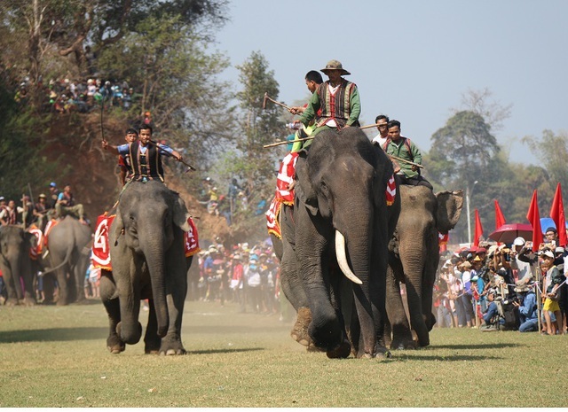 SGK viết sai về Hội đua voi ở Tây Nguyên: Nhà nghiên cứu văn hóa bức xúc  - 4