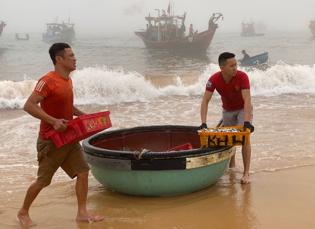 Trúng đậm cá nục mộng, ngư dân Quảng Bình thu tiền triệu mỗi đêm - 12 Trúng đậm cá nục mộng, ngư dân Quảng Bình thu tiền triệu mỗi đêm - 12