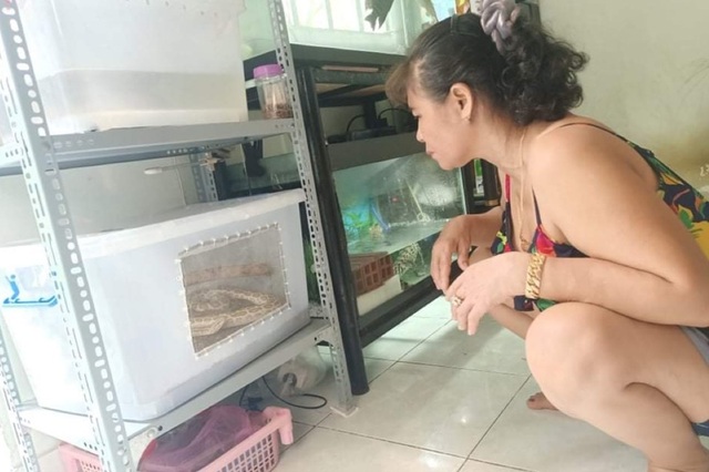 Nỗi lòng của người mẹ khi con trai yêu sâu đậm các loài bò sát - 8 Nỗi lòng của người mẹ khi con trai yêu sâu đậm các loài bò sát - 8