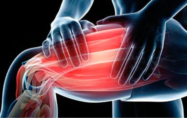 Người đàn ông tử vong vì bị phạt squat 300 lần - 3 Người đàn ông tử vong vì bị phạt squat 300 lần - 3