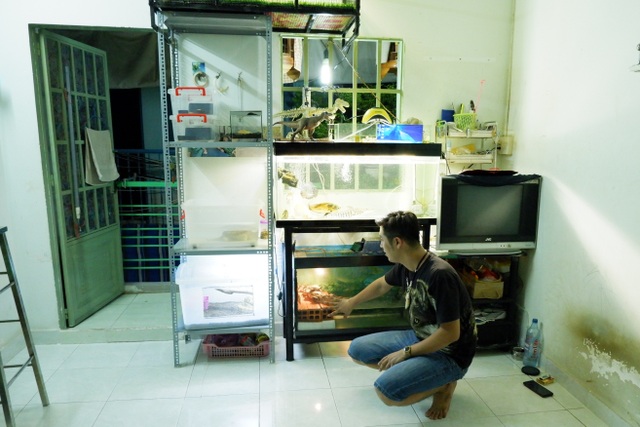 Nỗi lòng của người mẹ khi con trai yêu sâu đậm các loài bò sát - 4 Nỗi lòng của người mẹ khi con trai yêu sâu đậm các loài bò sát - 4
