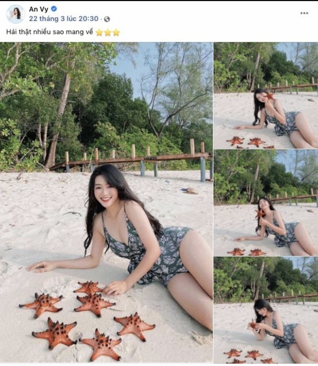 Dân mạng bùng nổ làn sóng phản đối việc bắt sao biển Phú Quốc để sống ảo - 2 Dân mạng bùng nổ làn sóng phản đối việc bắt sao biển Phú Quốc để sống ảo - 2