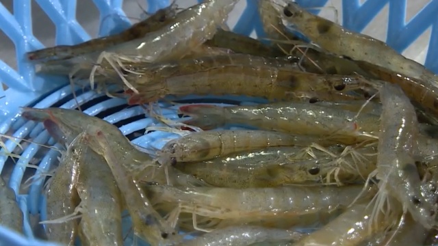 Beef shrimp dish jumping through the mouth, challenging diners in Quang Ninh - 2