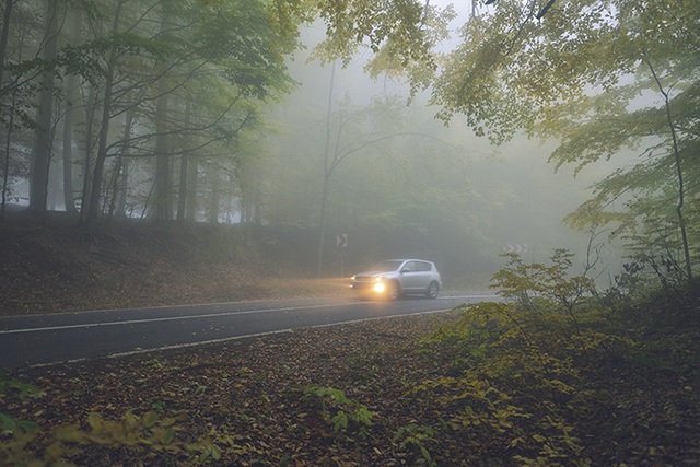 Đi chơi cuối tuần gặp sương mù, những lưu ý này sẽ giúp lái ô tô an toàn - 4