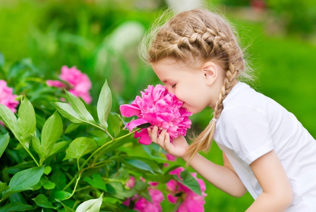 Vì sao hoa lại có mùi hương? - 1 Vì sao hoa lại có mùi hương? - 1