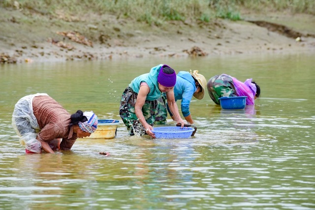 Nhọc nhằn nghề cào hến trên sông Lèn - 3 Nhọc nhằn nghề cào hến trên sông Lèn - 3