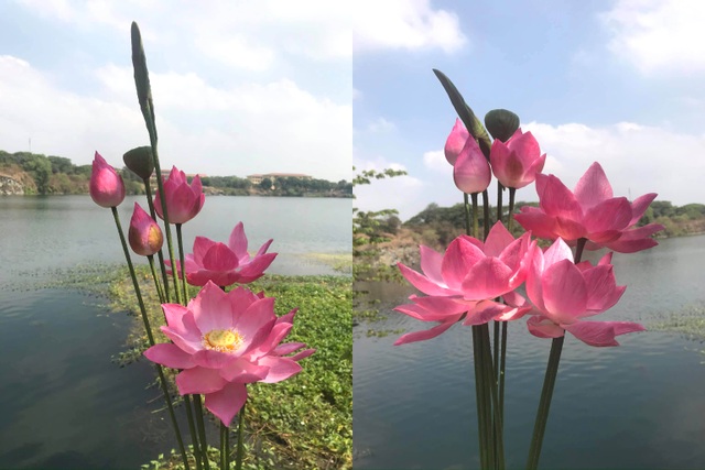 Đất sét đơm hoa kết trái dưới bàn tay khéo léo của 9X Sài Gòn - 3 Đất sét đơm hoa kết trái dưới bàn tay khéo léo của 9X Sài Gòn - 3