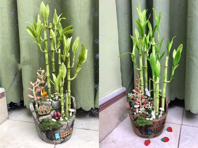 Đất sét đơm hoa kết trái dưới bàn tay khéo léo của 9X Sài Gòn - 11 Đất sét đơm hoa kết trái dưới bàn tay khéo léo của 9X Sài Gòn - 11