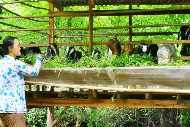 Ông Đoàn Ngọc Hải lại đổi ý, tiếp tục gửi tiền ủng hộ người nghèo An Giang - 2