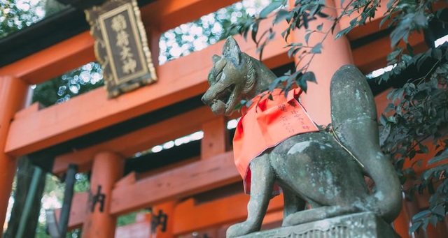 Cáo Inari - Linh vật thiêng đầy mê hoặc của xứ Phù Tang - 1 Cáo Inari - Linh vật thiêng đầy mê hoặc của xứ Phù Tang - 1