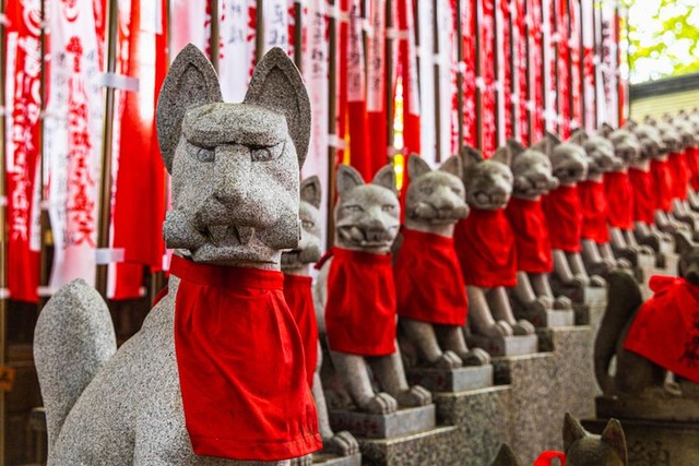 Cáo Inari - Linh vật thiêng đầy mê hoặc của xứ Phù Tang - 3 Cáo Inari - Linh vật thiêng đầy mê hoặc của xứ Phù Tang - 3