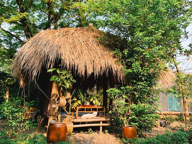 9X bỏ việc, mở lớp dạy làm hoa giấy cho người điếc, xương thủy tinh - 5 9X bỏ việc, mở lớp dạy làm hoa giấy cho người điếc, xương thủy tinh - 5