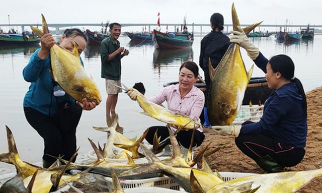 Ngư dân kể về chuyến ra khơi mang lại hơn 100 chỉ vàng - 1