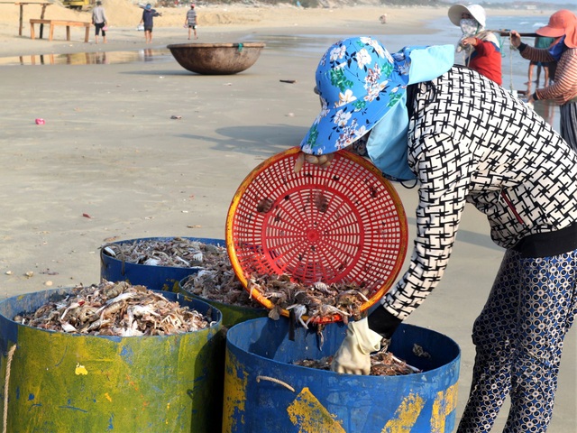 Khám phá khu chợ cá chỉ họp vào mùa hè suốt 18 năm ở Quảng Nam - 10