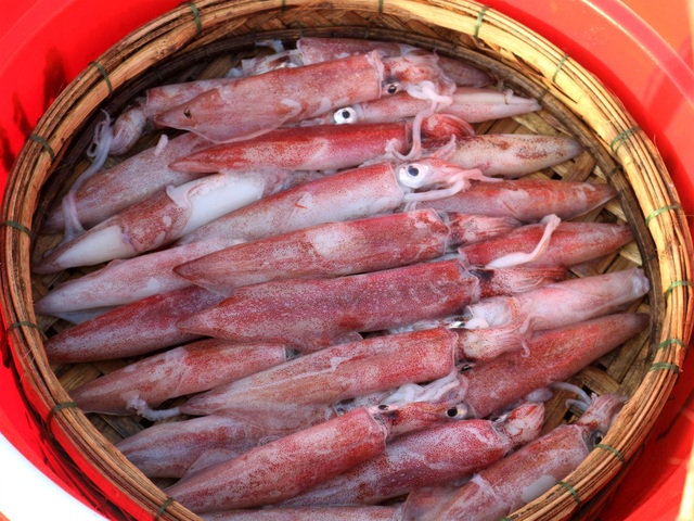 Khám phá khu chợ cá chỉ họp vào mùa hè suốt 18 năm ở Quảng Nam - 11
