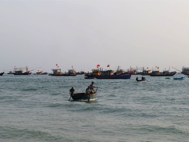 Khám phá khu chợ cá chỉ họp vào mùa hè suốt 18 năm ở Quảng Nam - 3