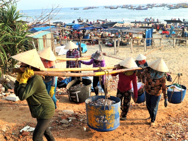 Khám phá khu chợ cá chỉ họp vào mùa hè suốt 18 năm ở Quảng Nam - 4