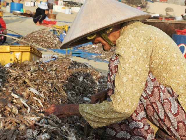 Khám phá khu chợ cá chỉ họp vào mùa hè suốt 18 năm ở Quảng Nam - 7