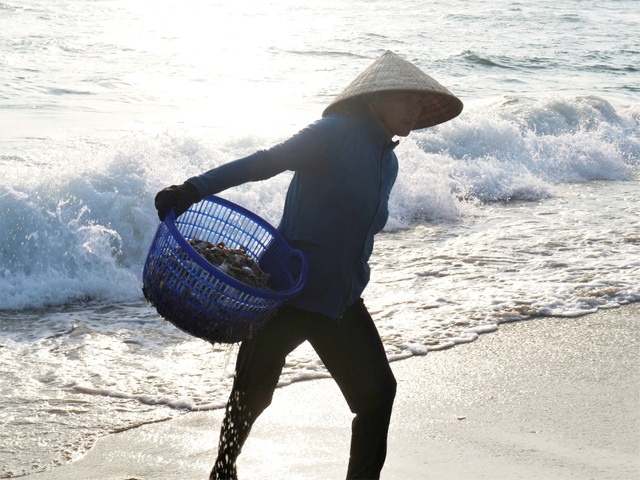 Khám phá khu chợ cá chỉ họp vào mùa hè suốt 18 năm ở Quảng Nam - 8