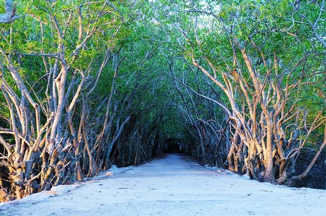 Beautiful check-in place not to be missed when traveling to Hue for holiday travel - 7