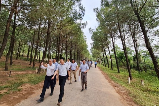 Chỉnh trang đồi Vọng Cảnh thành điểm đến du lịch tuyệt đẹp - 1 Chỉnh trang đồi Vọng Cảnh thành điểm đến du lịch tuyệt đẹp - 1