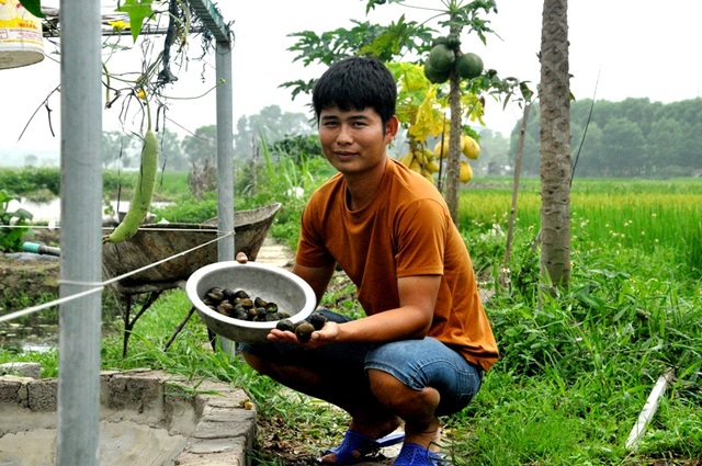 8X bỏ nghề điều dưỡng về quê làm bạn với ốc, cá, kiếm nửa tỷ đồng mỗi năm - 2 8X bỏ nghề điều dưỡng về quê làm bạn với ốc, cá, kiếm nửa tỷ đồng mỗi năm - 2