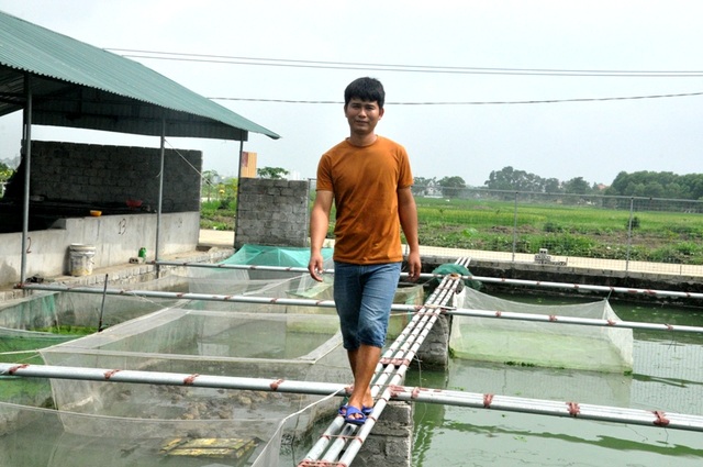 8X bỏ nghề điều dưỡng về quê làm bạn với ốc, cá, kiếm nửa tỷ đồng mỗi năm - 7 8X bỏ nghề điều dưỡng về quê làm bạn với ốc, cá, kiếm nửa tỷ đồng mỗi năm - 7