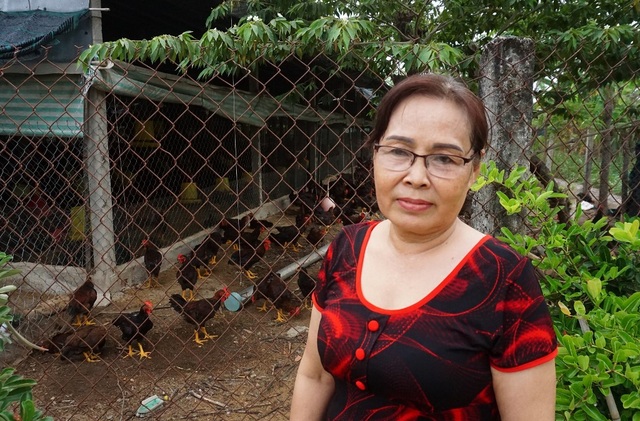 Lão nông Tiền Giang giúp hàng xóm khá lên nhờ giống gà... đặc chủng - 4 Lão nông Tiền Giang giúp hàng xóm khá lên nhờ giống gà... đặc chủng - 4