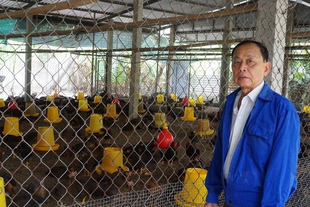 Lão nông Tiền Giang giúp hàng xóm khá lên nhờ giống gà... đặc chủng - 1 Lão nông Tiền Giang giúp hàng xóm khá lên nhờ giống gà... đặc chủng - 1