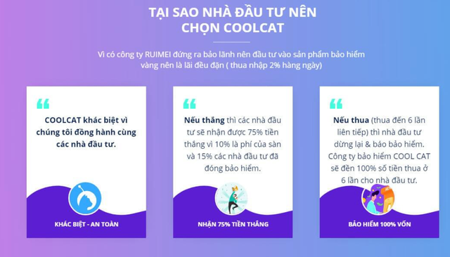 Bỏ tiền tỷ, vay nặng lãi đầu tư Coolcat: Người chơi chết đứng khi sàn sập - 1