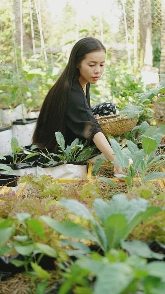 Gia đình ở Đắk Lắk rời phố thị, về quê làm vườn bội thu rau trái - 4 Gia đình ở Đắk Lắk rời phố thị, về quê làm vườn bội thu rau trái - 4