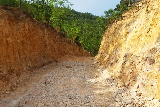 Lâm trường ngó lơ để doanh nghiệp khai thác tài nguyên trái phép? - 3 Lâm trường ngó lơ để doanh nghiệp khai thác tài nguyên trái phép? - 3