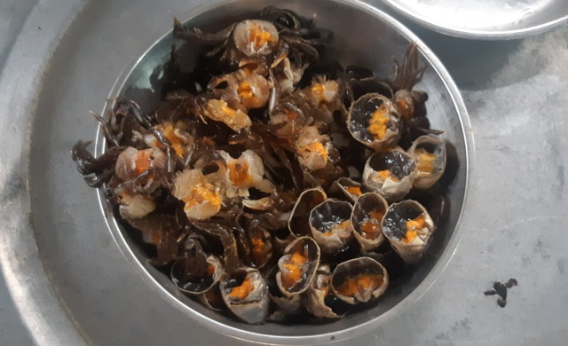Vất vả nghề lội bùn bắt con... bò ngang - 9 Vất vả nghề lội bùn bắt con... bò ngang - 9
