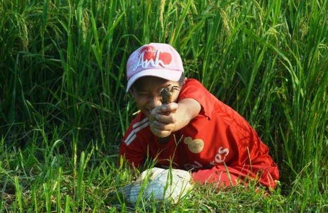 Vất vả nghề lội bùn bắt con... bò ngang - 6 Vất vả nghề lội bùn bắt con... bò ngang - 6